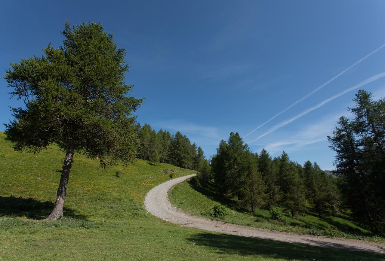 Les Hauts Des Auches Ancelle Exterior foto